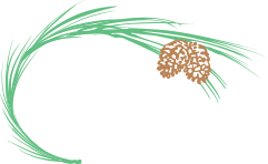 pine castle logo